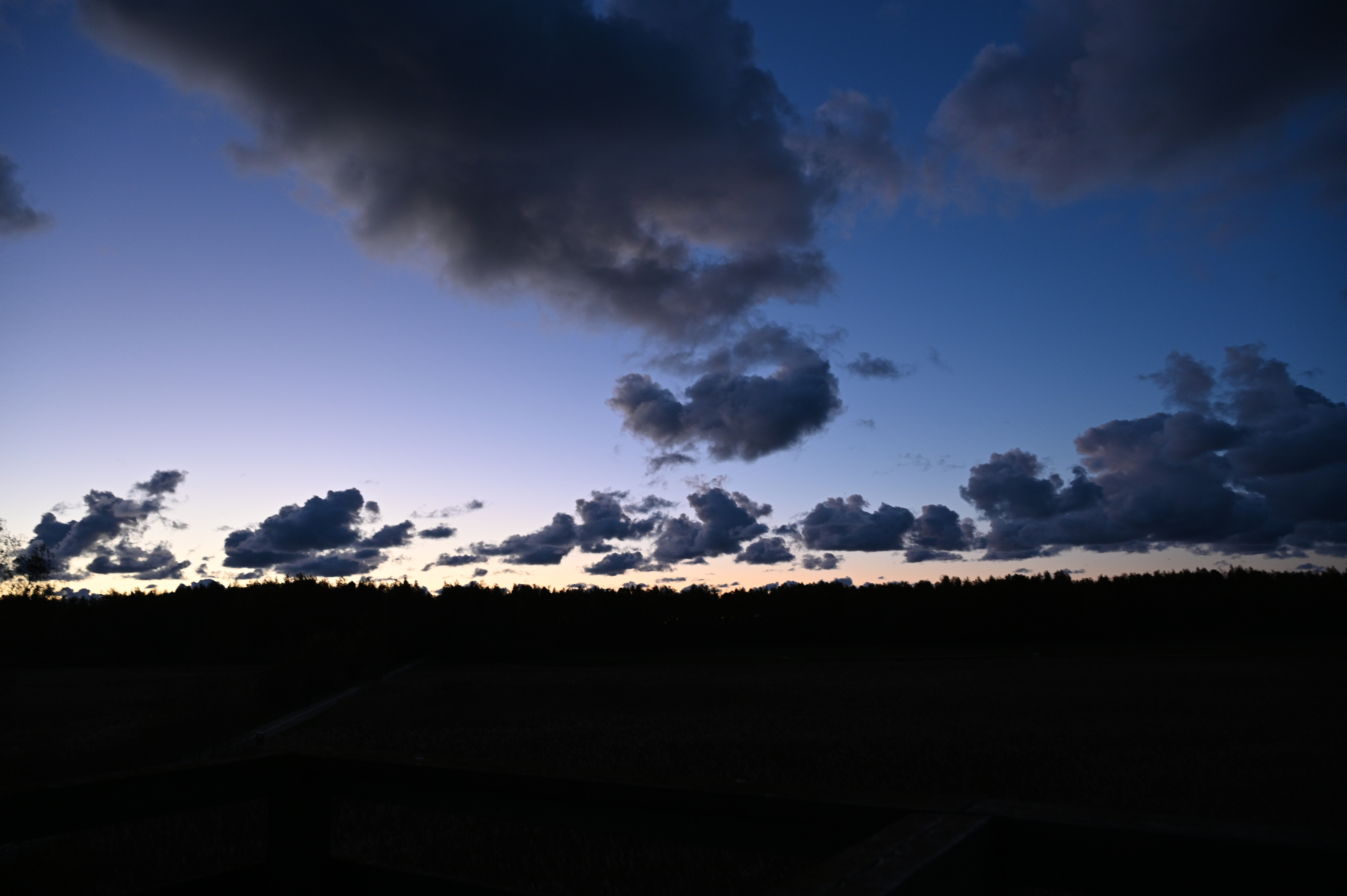 2025/10/18 - walk/DSC_0621.JPG